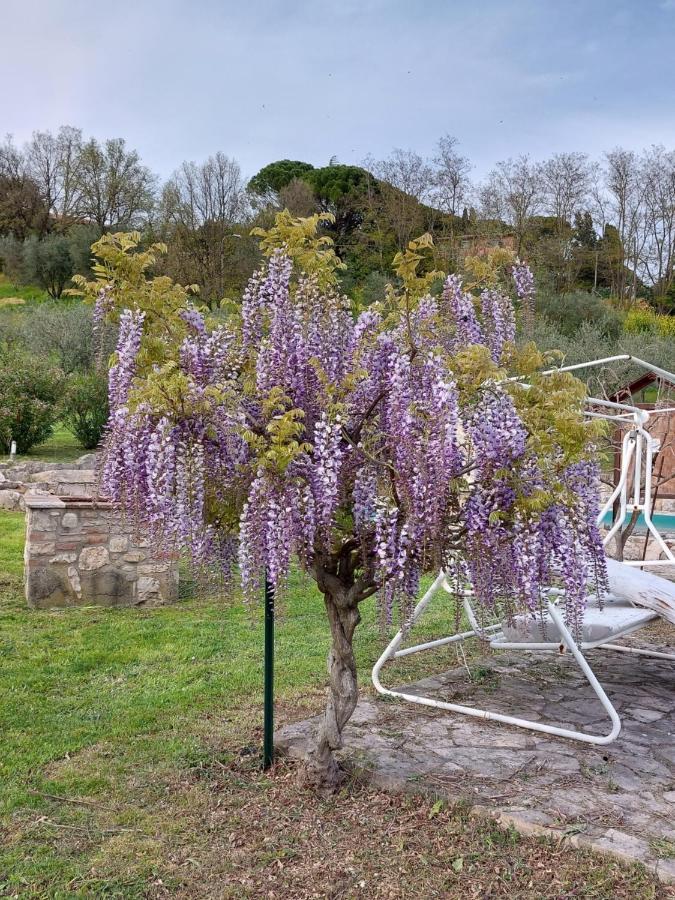 Agriturismo Camera Rosa Todi Exterior photo